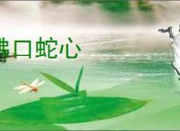千千音乐